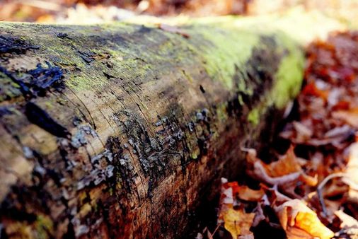 DJ — foto 5